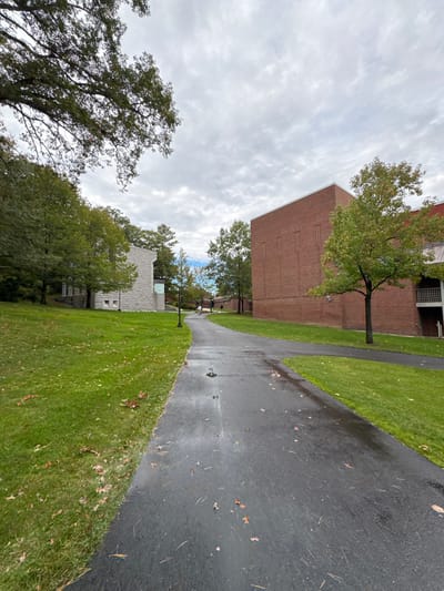 The image displays an outdoor campus scene in Wellesley, United States, consistent with Wellesley College. A dark asphalt pathway, visibly wet with scattered brown and orange fallen leaves, curves gently uphill from the foreground. This pathway is bordered by manicured green grass on both sides and branches to the right in the mid-ground.

To the left of the main path, a multi-story building constructed of light grey, angular stone or concrete blocks is present, identifiable as the Davis Museum. Further left and behind, dense green tree foliage covers a hillside. To the right of the path, a substantial multi-story building of red brick with a flat roof and vertical recessed panels stands. A small tree with green foliage is positioned in front of this brick building. Several dark lamp posts are visible along the pathway.

In the distant background, two indistinct human figures are observed walking away from the viewer on the main pathway. The sky is uniformly overcast with textured grey clouds, indicating diffused lighting. A large tree with green leaves and prominent branches partially frames the upper left portion of the scene.