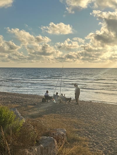 This media file captures a serene scene on a beach in Haifa, Israel, likely during the late afternoon or early evening, given the soft, golden light illuminating the sky and water. The sky is a prominent feature, filled with dramatic, textured clouds that stretch across the frame, tinged with yellow and white from the low-hanging sun. Below the sky lies the calm, rippling surface of the sea, reflecting the light and creating a shimmering effect.
The beach itself is composed of sand, with clear patterns of footprints visible, suggesting recent activity. The waterline marks a clear boundary between the sand and the water. Along the edge of the beach, dry grasses and some rocky outcrops are visible, adding a natural and slightly wild texture to the foreground.
Several people are engaged in fishing. One person stands near the water's edge, looking out towards the sea, while others are seated on chairs further back on the sand, holding fishing rods. The posture and arrangement of the people suggest a relaxed and patient pursuit of their hobby. Two fishing rods extend towards the water, emphasizing the activity.
The overall mood of the image is peaceful and tranquil, evoking a sense of calm and the enjoyment of a quiet moment by the sea. There are no visible signs or text in the image. The rotation of the image suggests it was captured in portrait mode and then rotated 90 degrees clockwise.