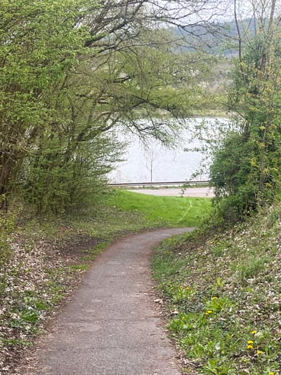 This image captures a narrow, curving path in Konz, Germany, situated beside a body of water. The path is made of asphalt or a similar material and is bordered on one side by a dense mix of green foliage, including grass and small yellow flowers, interspersed with fallen leaves. On the other side, the path is edged by a thick row of trees and bushes with fresh, green leaves, partially obscuring the view of the water, which appears calm and reflective. A railing separates the path from a strip of grass before the water's edge. Bare branches of trees are visible in the background against a partly cloudy sky.