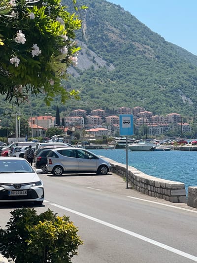 In Risan, Montenegro, a sunny day is depicted with a view of the bay. In the foreground, a white Toyota sedan is parked on the left side of the road, its license plate reading "BG 3654 LK." To its right, a silver hatchback is parked. Behind these cars, a man wearing a patterned shirt is walking away from the camera. Further back, a bus stop sign with a bus icon is visible. The bay is filled with boats, including a white motor yacht. In the distance, a hillside covered in green trees rises behind a cluster of buildings with terracotta roofs. The scene is framed by lush green foliage and white flowers in the upper left corner.