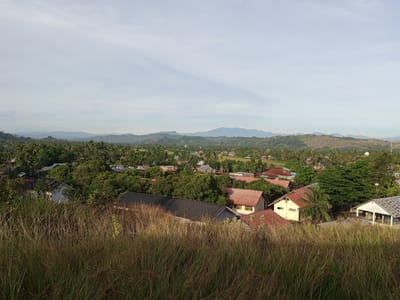 This is a landscape photograph taken from a slightly elevated position, overlooking a rural residential area. In the foreground, tall, dry grasses dominate, their stalks catching the light. Beyond the grass, a cluster of houses with various roof types, including red tile and corrugated metal, are visible. These houses are nestled amongst lush green trees, primarily palm trees, suggesting a tropical or subtropical climate. In the midground, more houses and trees form a densely populated village. The background reveals rolling hills and mountains, possibly a volcanic chain, under a pale, overcast sky with subtle cloud formations. A few scattered structures and possibly a distant radio tower can be discerned on the hills. The overall impression is of a peaceful, verdant, and sparsely populated rural settlement, likely in a region with abundant vegetation and hilly terrain. The location is identified as the city of Uruekanoe, Indonesia. There are no people or discernible actions depicted in the image.