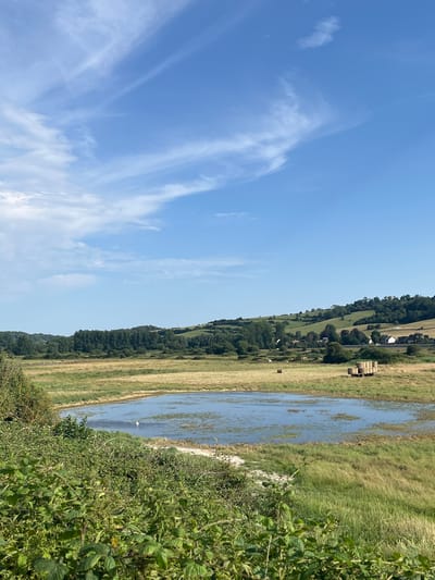 This is a landscape photograph taken in Hautot-sur-Mer, France. The image depicts a rural scene with a clear blue sky filled with wispy white clouds. On the right side of the image, a body of water, possibly a shallow pond or flooded field, is visible, bordered by tall green grass and dense foliage in the foreground. In the distance, a hillside is covered in a patchwork of green trees and golden-brown fields, with some hay bales stacked on a vehicle near the top of the hill. A few scattered white birds are present in the flooded area and near the fields, with one bird standing in the water. The overall impression is one of a sunny day in the countryside. The time of day appears to be daytime, and the weather seems fair with a gentle breeze suggested by the clouds. The location cues, such as the hay bales and the rural landscape, align with the context of Hautot-sur-Mer, France. There is no visible text in the image.