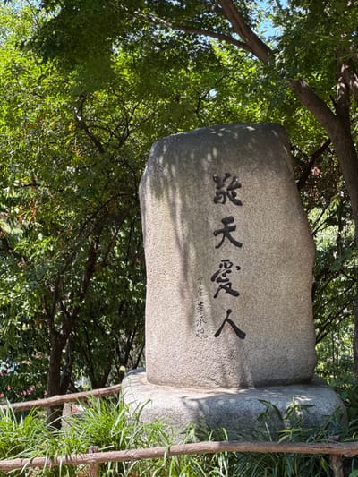 A large, irregular grey granite stele, approximately 2 meters tall, stands centrally. Its polished face bears prominent vertical black Hanja inscriptions: "旅天愛人" (Yeocheon Aein), translated as "Serve Heaven, Love People." To the left of the main inscription, smaller vertical Hanja characters read "李承晩 書," indicating "Written by Syngman Rhee." The monument is set on a wider, rough-hewn stone base. Bright sunlight illuminates the scene from the upper right, casting distinct shadows on the stele's surface and the surrounding ground.
The environment consists of dense green foliage, primarily tree canopies, filling the background and upper frame. Patches of clear blue sky are visible through the leaves. In the immediate foreground, a low, rustic wooden fence, constructed from rough logs, extends horizontally, partially obscured by vibrant green grass and leafy ground cover. No individuals, animals, or discernible actions are present.
This monument is located in Marronnier Park, Daehak-ro, Jongno-gu, Seoul, South Korea.