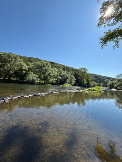 An idyllic, sun-drenched scene unfolds beside a tranquil river, framed by lush, verdant hills. The water, crystal clear, reveals a rocky bed beneath its surface, with a line of stones strategically placed to create a gentle barrier, suggesting a deliberate modification of the natural flow. The river gently meanders, reflecting the bright blue sky and the dense foliage that carpets the surrounding hillsides. Sunlight, dappled and warm, filters through the leaves of trees on the right, casting subtle shadows on the water and hinting at a serene, natural retreat. The scene is untouched by human presence, evoking a sense of peaceful solitude and natural beauty. The location is the river in the vicinity of Brusen, Bulgaria, a place renowned for its unspoiled natural landscapes.