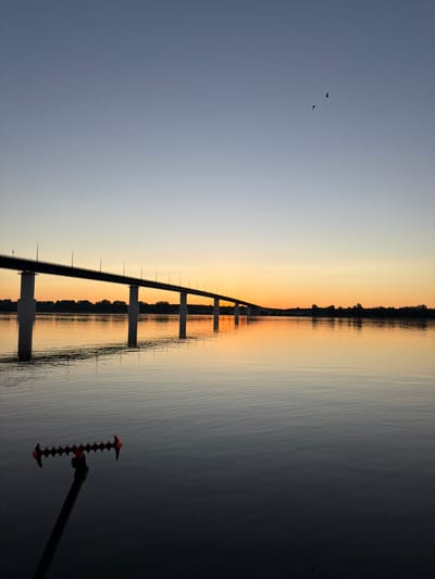 A photograph captures a sunset over a wide river with a bridge in the distance. The sky transitions from a pale blue at the top to a warm orange near the horizon. Two silhouetted birds are visible in the sky. The river's surface is calm, reflecting the colors of the sunset and the bridge. The bridge, supported by concrete piers, spans across the river. The shoreline is lined with trees. In the foreground, a fishing rod holder with orange accents is partially submerged in the water. The scene is static, with no visible human activity. The location is identified as the city of Tarasovo, Russia.