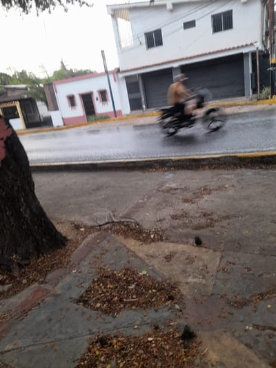 A blurry, overexposed photograph captures a street scene in Tacarigua, Venezuela, likely during overcast weather or early morning. In the foreground, the base of a large tree trunk is visible on the left, its bark dark and textured. The ground is a mix of concrete pavement and scattered dry leaves and debris. A sidewalk or paved pathway is evident, with some of its edges showing.
The midground reveals a wet asphalt street, marked by a distinct yellow line along the curb. A person on a motorcycle, appearing as a blurred orange shape, is moving away from the viewer towards the right side of the frame. The motorcycle itself is indistinct due to motion blur.
In the background, several buildings line the street. The most prominent is a white, two-story building with dark-grated windows on the upper floor and dark, shuttered storefronts on the ground level. To the left of this building, a smaller, single-story white structure with pink trim is visible, featuring two windows and a door. Further left, another building with a yellow trim and a dark gate is partially visible. The overall impression is one of a residential or commercial street, possibly in a somewhat dated urban setting. The wet road suggests recent rainfall.