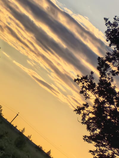 The image depicts a landscape scene in Misaylovo, Russia, captured at an oblique angle. The sky dominates the upper portion of the frame, featuring a gradient of pale blue and warm orange hues, indicative of either sunrise or sunset. Elongated, streaky clouds are visible, catching the light and creating distinct patterns across the sky.
In the foreground and extending towards the right edge of the image, the dark silhouette of a tree is prominent. Its branches and leaves are rendered in shadow against the illuminated sky. To the left, a gently sloping green field is visible, dotted with smaller trees and shrubbery. A solitary utility pole with wires stretches diagonally across the field, further emphasizing the rural setting. The overall impression is one of a serene, natural environment at twilight or dawn, with man-made elements minimally intruding on the landscape.