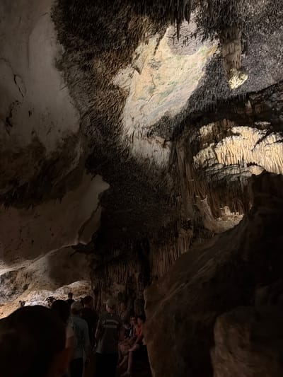 This image shows the interior of the Caves of Drach in Manacor, Spain. The cave walls exhibit textured, stratified rock formations and speleothems, including areas densely covered in small, dark, needle-like structures. A group of people is visible in the lower right corner of the frame, some wearing casual clothing. One person is wearing a light-colored baseball cap and a dark T-shirt with text on the back. The lighting in the cave is dim and uneven, emphasizing the textures and shapes of the rock formations.