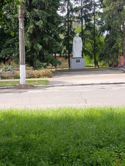 The image depicts a monument located in the city of Khorol, Ukraine. The monument, a white statue of a soldier in uniform, stands on a grey pedestal in a park-like setting. It is surrounded by tall evergreen trees and other vegetation. In the foreground, a paved area transitions to a grassy lawn. A utility pole with some wires is visible to the left of the monument, near a park bench and flowering bushes. The overall scene suggests a public space, possibly a memorial or historical site.