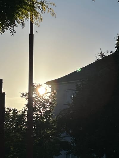 The image shows a bright, overcast sky, likely at dawn or dusk due to the soft, diffused sunlight. Silhouetted against the sky are the dark shapes of trees and a building with a slanted roof. A horizontal dark object, possibly a lamppost or a cable, runs across the middle of the frame. In the upper left quadrant of the image, a small, dark bird is in flight. The overall mood is serene and possibly a little mysterious, with the low light obscuring details. There are no discernible people or text in the image. The location context suggests this scene is from Helsingborg, Sweden.