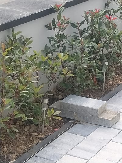 The image shows a line of Photinia x fraseri 'Red Robin' bushes planted along a pale grey wall. The bushes have dark green leaves with bright red new growth at the tips. Some of the bushes are illuminated by small solar-powered garden lights. In the foreground, there is a paved patio area made of light grey rectangular stones. Two grey concrete blocks are stacked on the paving stones, with one partially on top of the other. The scene appears to be an outdoor area, possibly a garden or a residential property in Crauthem, Luxembourg. The lighting suggests it is daytime, and the overall impression is one of a well-maintained outdoor space.