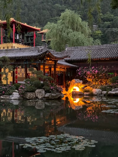 The image shows a nighttime scene in Lintong District, China, with a reflection of illuminated traditional Chinese architecture in a body of water. The structures feature gray tiled roofs, red and gold accents, and ornate details. A tree with drooping branches is situated on the left, and a rocky structure with a lighted element is visible. Pink flowers are also present. The reflection in the water creates a symmetrical effect, blurring the distinction between the real and reflected elements. The background consists of a densely forested hillside.