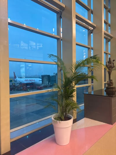 The image depicts a scene from inside an airport terminal or lounge, looking out through large, multi-paned windows onto an aircraft parked at a gate. The perspective is slightly elevated, suggesting an upper level of the terminal.

In the immediate foreground, a lush, palm-like plant in a white cylindrical pot occupies the right side of the frame. Above the plant, an ornate, dark metal fixture is mounted on a gray rectangular column, possibly a decorative lamp or a part of the building's infrastructure. The interior floor visible in the lower right corner features distinct sections of light pink and beige. The building's architecture is characterized by strong horizontal and vertical metal beams that frame the large glass panels.

Outside the windows, a white airplane with red livery is prominently featured. The words "AIR INDIA" are clearly visible along its fuselage, identifying the airline. A jet bridge is connected to the aircraft, and various ground support vehicles and personnel are discernible on the tarmac around it. The sky beyond the airport is a clear, soft blue, suggesting either early morning or late afternoon light, rather than harsh midday sun. Reflections of interior lighting or structures are visible on some of the window panes.

The setting is an active airport environment, likely a waiting area or lounge, with an airplane preparing for departure or having recently arrived. The visible "AIR INDIA" text, combined with the location context of St. Thomas Mount Cantonment, points to an airport in India, such as Chennai International Airport.