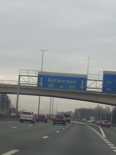 The image displays a multi-lane highway scene under an overcast sky during daylight hours, situated on the E17 motorway near Waasmunster, Belgium, with traffic proceeding towards Antwerp.

In the mid-ground, numerous passenger vehicles are depicted moving away from the viewer. These include a silver SUV in the left-center lane and multiple dark-colored cars, some with illuminated taillights. The asphalt roadway features white solid and dashed lane markings.

An overhead blue gantry sign is prominent, displaying "Antwerpen" in white capital letters, with "E17" visible below it. The sign also features two white down-pointing arrows and one right-pointing arrow, indicating lane guidance for Antwerp. A partial view of an identical blue sign is visible to the right. The gantry structure is a grey, metallic framework, and a concrete overpass bridge spans the highway directly above the signage.

The background consists of bare trees lining both sides of the highway, denser on the right. Utility poles or light standards are visible along the road. The sky is uniformly grey, indicating an overcast condition. No pedestrians are observed. The scene indicates active vehicular traffic on a major European highway.