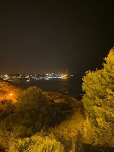 This is a night photograph of a coastal town, likely in the municipality of Orihuela, Spain, given the context of the request. In the foreground, illuminated by artificial lights, are various types of vegetation, including dense green trees with needle-like leaves on the right and spiky, grass-like plants in the lower left. The landscape slopes downwards towards a body of water, which appears to be the sea, reflecting the lights of the town in the midground. The town itself is visible as a collection of buildings with numerous lights, suggesting a populated area. A prominent structure, possibly a lighthouse or a tower, with a red top and illuminated white base, stands out against the dark sky on a pier or jetty extending into the water. The sky above is dark and cloudless, characteristic of nighttime. There are no people visible in the image.