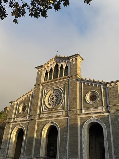 The image depicts an upward-angled view of the stone facade of the Basilica di Santa Margherita in Cortona, Italy. The building is constructed from grey-brown stone blocks with lighter stone accents, illuminated by direct sunlight from the viewer's right, casting distinct shadows. The lower section of the facade features three large, recessed arched portals, with the central and right portals fully visible. Above the central portal, a large, ornate circular rose window with intricate tracery is prominent. A smaller circular oculus with simpler tracery is positioned above the right portal. Latin inscriptions are observable beneath both the rose window ("IN LAUDEM SACRATISSIMAE DEI GENETRICIS") and the right oculus ("PAPE PIO NONO MCMXVI"). The upper portion of the facade includes a belfry-like structure with multiple smaller arched openings, capped by a cross at its peak. Dark green tree branches with leaves are visible in the upper left foreground, silhouetted against a sky that transitions from a pale blue on the right to a hazy, lighter tone on the left. An indistinct, dark object, consistent with a vehicle roof, is partially visible at the bottom edge of the frame. No individuals are present in the scene.