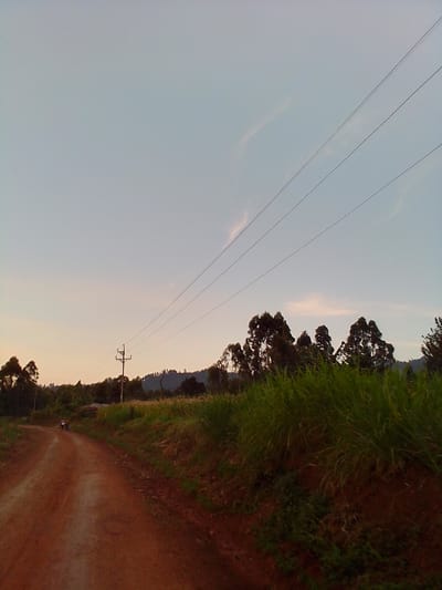 The image depicts a rural scene in Borabu Chitago ward, Kenya, under a clear, pale blue sky with a hint of sunset hues near the horizon. A dirt road curves into the distance on the left side of the frame. In the middle ground, a solitary utility pole stands, supporting power lines that stretch across the sky. To the right, a dense line of tall green grass grows on an embankment, separating the road from a wooded area in the background. The trees are mostly dark green and silhouetted against the lighter sky, with some taller trees scattered amongst them. The overall mood is peaceful and serene, suggesting a quiet afternoon or early evening in the countryside. Two indistinct figures are visible on the road in the distance, possibly walking or riding bicycles, adding a sense of human presence to the tranquil landscape. The time of day appears to be late afternoon or early evening, given the soft light and the warm tones on the horizon. There is no visible text in the image.