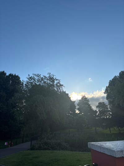 The image depicts a serene park scene under a clear blue sky with a few wispy clouds. The sun is setting, casting a warm glow through the trees and creating lens flare. Lush green trees line the background, with some silhouetted against the bright sky. In the mid-ground, a pathway leads to a bridge that crosses a body of water. The foreground features a well-maintained lawn. The scene is peaceful and inviting, suggesting a public park in a city.
This image could be taken in Fitzgerald's Park in Cork City, Ireland. The park is known for its mature trees, walking paths, and the River Lee. The bridge and the lush greenery are consistent with the park's landscape. The serene atmosphere and the presence of public amenities like pathways and a bridge align with the typical features of Fitzgerald's Park.