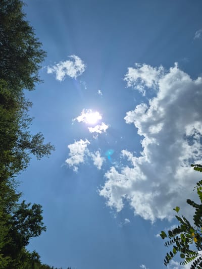 In Divchovoto, Bulgaria, the image captures a high-angle view of a bright, sunny sky. The sun is partially obscured by fluffy white clouds, creating a halo effect and visible sunbeams radiating outwards. Some of the clouds are darker and more substantial, while others are wispy. Lush green foliage from trees frames the top left and bottom right corners of the frame, suggesting an outdoor setting with abundant vegetation. The sky is a clear, vibrant blue.
