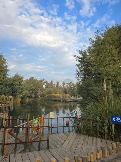 A landscape photograph shows a body of water, likely a pond or lake, reflecting trees and a partially cloudy sky in Puente Alto, Chile. A wooden boardwalk runs along the water's edge with a wooden safety barrier present. Aquatic plants line the water, and a blue sign with a symbol possibly indicating accessibility is visible near the boardwalk. The image has been rotated.