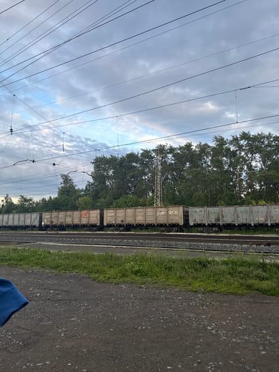 A train of freight cars is visible on a track, positioned behind a line of trees. The sky above is cloudy. In the foreground, there is a path made of gravel and dirt, with green grass on the left side. A small portion of a blue object, possibly clothing, is visible in the bottom left corner. The train cars are weathered and appear to be made of metal. Some of the cars have markings or text on them. The overall scene suggests a view of a railway infrastructure in an outdoor, possibly rural or suburban, setting within the town of Borodulino, Russia.