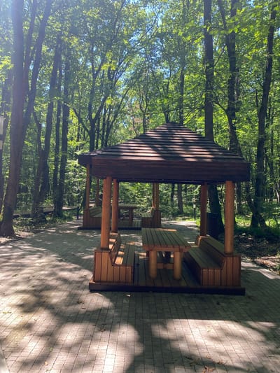 The image depicts a sun-dappled park scene in Maykop, Russia, featuring two wooden gazebos with integrated benches and tables, situated along a paved walkway. The gazebos are constructed with dark wooden roofs and lighter wooden posts, benches, and table supports. The walkway is paved with interlocking rectangular stones, and scattered leaves are visible on the ground. The surrounding environment is a dense forest with tall trees, their foliage illuminated by the sun, creating a play of light and shadow on the ground. The overall atmosphere is peaceful and natural.