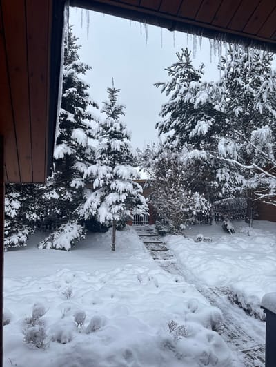 The image depicts a snow-covered outdoor scene at Нахабино Кантри Кп, Russia, under an overcast sky. The viewpoint is from under a wooden overhang, revealing exposed timber planks and a dark gutter from which numerous icicles, approximately 10-30 cm in length, are suspended. The ground is covered in a deep, undisturbed layer of white snow, forming drifts and mounds over underlying vegetation.
Numerous evergreen trees, primarily spruces or firs, are heavily blanketed with snow, dominating the midground and left side of the frame. A paved pathway, constructed from possibly brick or stone blocks, is partially visible, either cleared or less deeply covered by snow. This path extends from the lower right foreground, ascending via several visible steps towards a small, distant building in the mid-background. This building features a dark brown or reddish lower facade, a white gate, and a snow-covered roof. Smaller deciduous bushes and shrubs, also heavily coated in snow, are interspersed throughout the landscape. The sky is uniformly light grey, indicating an overcast winter day. No individuals or active subjects are present in the scene.