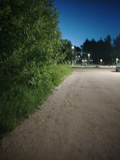 The image depicts a roadside scene at dusk in Yaroslavl, Russia. On the left, a dense green bush with thin leaves borders a grassy embankment. A paved road stretches into the distance, illuminated by streetlights. Several streetlights are visible along the road, with their lights blurred due to motion. In the background, dark trees form a line along the horizon against a deep blue sky. Further down the road, traffic lights are visible, and a greenish car is parked on the right side. The overall atmosphere is calm and serene, with a slight motion blur suggesting the photo was taken from a moving vehicle or by hand.