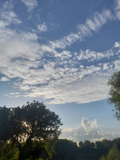 A photograph taken from a low angle shows a sky filled with various cloud formations over a rural landscape. The sky is a gradient of light blue at the top, transitioning to a lighter, hazy blue near the horizon. Wispy, cirrus clouds stretch horizontally across the upper portion of the frame, with scattered, puffy cumulus clouds below them. In the lower right quadrant, a large, light-colored cumulus cloud is prominent, taking on an unusual, somewhat animalistic shape.
In the foreground, the silhouette of a large deciduous tree dominates the left side of the image. Its dense foliage is dark, and the sun is partially visible behind it, casting rays of light through the branches and creating a lens flare effect. Beneath the tree, a small, dark structure with a thatched roof is partially obscured by the tree's branches and shadows.
A dense line of dark green trees forms a horizontal band across the lower third of the image, suggesting a forest or a line of trees marking a property boundary. The overall scene depicts a natural environment, likely in or near Kliushnykivka, Ukraine, characterized by a dynamic sky and lush vegetation. No people or animals are clearly visible in the image. The lighting suggests it is either late afternoon or early morning.