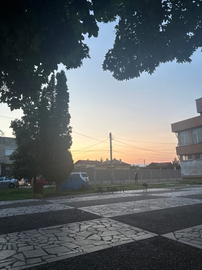The image depicts an outdoor scene at dusk, possibly in the town of Ognianovo, Bulgaria. The sky exhibits a gradient of soft blues and oranges, indicating sunset. In the foreground, a patterned walkway made of irregular grey stones and dark gravel creates a checkerboard effect. Trees, with dense dark foliage, frame the upper part of the image on the left and right sides. A tall, slender coniferous tree stands prominently in the middle ground.
To the left, a light-colored car is parked on a grassy area alongside a building. Further back, several other cars are visible. In the center of the image, a blue, possibly metallic, structure resembling a slide or playground equipment is situated on the grass. A reddish cylindrical object, potentially a trash bin, is positioned near the base of the coniferous tree.
A grey fence runs horizontally across the middle ground, separating the foreground walkway from a residential area. Beyond the fence, several houses with tiled roofs are visible, typical of a European setting. On the right side of the image, a modern building with orange and grey facades and large windows stands out.
A single person, dressed in dark clothing, is seen standing near the fence, looking away from the camera. A medium-sized dog with dark fur walks away from the person, heading towards the right edge of the frame. Electrical wires and a utility pole are also present in the middle ground. The overall atmosphere is tranquil, suggesting the end of a day in a residential area.