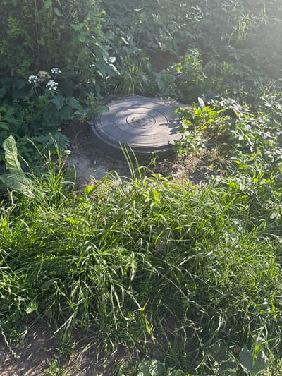 The image depicts a circular, dark-colored manhole cover partially obscured by overgrown grass and foliage. The manhole cover appears to be made of metal or concrete and has visible concentric rings and some embossed text. It is situated in an outdoor, unkempt area, likely a public space or undeveloped land, in Pavlovo, Russia. The surrounding vegetation consists of tall, green grasses, some leafy plants, and a few small white flowers. Sunlight is filtering through the scene, casting shadows and highlighting some areas of the grass. There are no people or animals visible in the image. The overall impression is one of a neglected, naturalistic environment with a functional, man-made object embedded within it.
