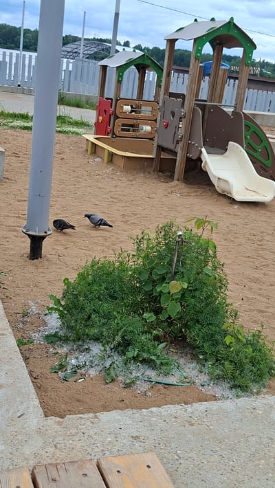 This is a medium-angle, outdoor photograph taken at a playground located in the city of Nytva, Russia. The playground features a colorful, multi-level structure with green and brown accents, a beige slide, and a sandbox. The ground is covered in sand, and a cluster of green foliage is visible in the foreground. Two pigeons are present on the sand: one grey pigeon standing and looking towards the left, and a darker pigeon to its left, facing downwards. In the background, a metal pole with a grey casing is situated on the left side of the frame. A light grey metal fence runs horizontally behind the playground structure, and beyond that, a body of water and a treeline are visible under a cloudy sky. A concrete pathway and wooden seating are in the lower portion of the image. The scene appears to be unoccupied by humans.