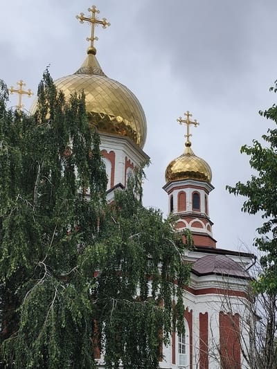 The image shows an exterior view of an Eastern Orthodox church, characterized by its golden domes topped with crosses. The architecture features white walls with red brick accents and arched windows. Lush green trees, including what appears to be a birch tree with its distinctive white bark and drooping branches, partially obscure the church. The sky is overcast, suggesting a cloudy day. This church is located in the city of Petrovsk, Russia.
