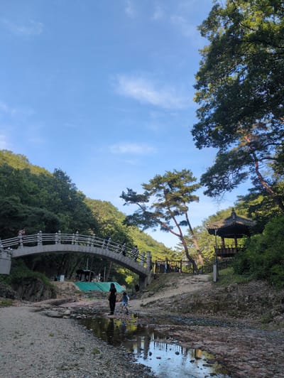 This image depicts a natural outdoor environment in Godang-ri, South Korea, under a clear blue sky with minimal scattered cirrus clouds. A light-colored, arched bridge with ornate railings spans a wide riverbed composed primarily of light-colored gravel and rocks. A shallow stream of water flows through the center of the riverbed, reflecting the sky.

On the left side of the frame, hills densely covered with green deciduous trees rise. On the right, a steep bank features similar dense foliage and several distinct pine trees with reddish trunks. A traditional Korean-style pavilion, characterized by a dark, multi-tiered roof and a raised wooden structure, is situated on this bank, partially obscured by trees.

In the riverbed, two individuals are present: an adult in dark clothing stands near the center of the stream, while a child in light shorts and a top actively wades nearby. On the bridge, at least three individuals are visible; one person in an orange-red shirt leans on the railing on the left side, and two other figures are positioned further along the bridge. Behind the pavilion, a wooden fence is partially visible, with faint human figures beyond it. Beneath the bridge on the left bank, some temporary structures or materials, including green tarpaulins, are present.