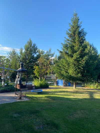 This is a vertical, medium-shot, outdoor photograph of a backyard scene in Volzhsk, Russia. The scene is dominated by a large evergreen tree in the right foreground, with its branches casting shadows on the well-maintained green lawn. To the left, a stone patio area features a black metal barbecue grill. In the middle ground, a small blue trampoline is visible on the grass, and further back, a blue tarp covers some objects. A variety of trees and bushes populate the background, with a wooden fence bordering the property. The sky is clear and blue, with a few wispy clouds in the distance. The lighting suggests it is a sunny afternoon. There are no people or animals visible in the image.