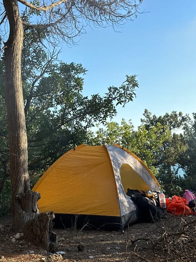 A bright yellow tent with a gray and white interior is set up on a dry, rocky ground amidst trees. The tent is partially open, revealing some camping gear, including backpacks and water bottles. To the right of the tent, there are several brightly colored bags, including an orange one and a pink one. A large tree trunk with weathered bark stands to the left of the tent, with exposed roots and surrounding stones. The background shows a dense cluster of green trees, with a glimpse of the blue sea and sky beyond. The scene is bathed in sunlight, suggesting it is daytime. The location appears to be a natural, undeveloped area, possibly a campsite.