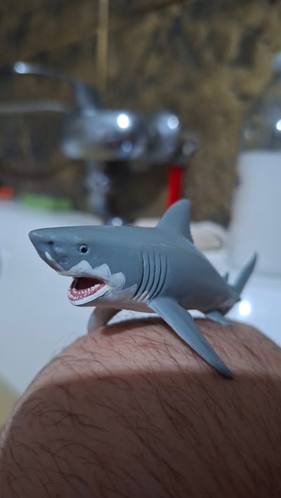 A gray toy shark with an open mouth showing white teeth and pink gums is positioned on a hairy human leg. The shark is on the left side of the frame, facing left. In the blurred background, a faucet with bright reflections is visible, suggesting a bathroom or sink area. The environment appears to be indoors. The location is Voinova, Moldova.
