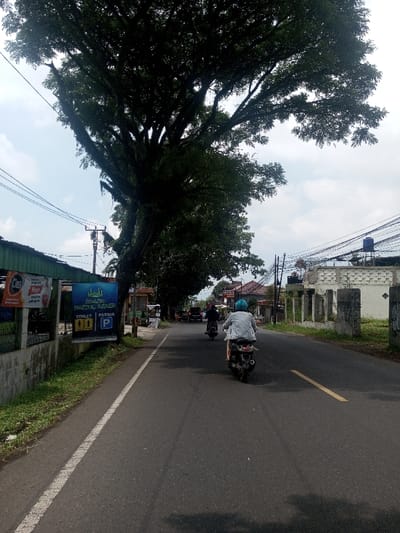 The scene is depicted as being in the city of Niz Lakuk, India.

This eye-level photograph captures a paved two-lane road stretching into the distance under a bright, overcast sky. A large, densely canopied tree with dark green foliage and visible epiphytic growth dominates the left side of the frame, providing significant shade over the road. On the immediate left, a low concrete wall separates the road from a grassy verge and a building with a green roof structure. Attached to the wall are two banners: one white with red text (partially visible, including "Cleo"), and a prominent blue banner featuring a mosque silhouette with the text "MESJID BAITUL RAHMAN" and icons for "TOILET" and "PARKIR".

On the road, two individuals on scooters are traveling away from the viewer. The scooter in the foreground, positioned in the right lane, is light-colored and operated by a person wearing a light blue jacket and a light blue helmet. Ahead and slightly to the left, a second person on a dark-colored scooter is also moving away, wearing dark clothing and a dark helmet. Faint tire marks are visible on the asphalt, which features a solid white line on the left shoulder and a faded yellow dashed line in the right lane.

The right side of the road features a white building with a distinctive textured facade behind a concrete fence, which has some visible graffiti. Further down, multiple utility poles with numerous overhead power and communication lines run along the roadside. Beyond these, various residential or commercial buildings with tiled roofs and a blue water tank on a rooftop are visible in the distance. Other vehicles are faintly discernible further down the road, indicating ongoing traffic.