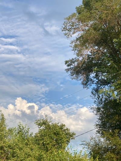The image captures an upward view of a sky filled with fluffy white and wispy grey clouds against a vibrant blue backdrop. Power lines are visible, stretching diagonally across the frame, suggesting an outdoor setting with man-made infrastructure. Lush green trees frame the sky from the top and right sides of the image, their leaves catching the light. The presence of trees and clouds indicates a natural environment, possibly a park or a wooded area. The lighting suggests it is daytime, likely afternoon, with the sun illuminating the clouds and foliage. The image is taken from a low angle, looking up at the sky and tree canopy. There is no visible text in the image. The scene evokes a sense of peacefulness and the beauty of nature.