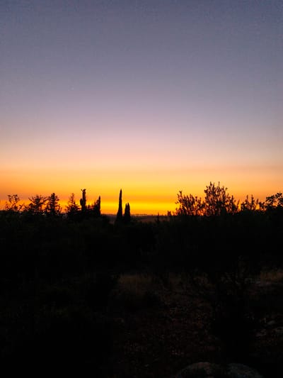 This image presents an outdoor landscape scene during twilight, situated in Shaalvim, Israel. The sky displays a color gradient transitioning from a muted grey-purple at the top to a vibrant orange and yellow at the horizon line. Two small, distinct white points are visible in the upper left portion of the sky. The foreground and midground are entirely in silhouette, featuring a dense arrangement of dark vegetation, including various trees and bushes. Several tall, slender tree forms are discernible among the broader canopy. A faint horizontal line of dispersed artificial lights is visible on the distant horizon, indicating a remote settlement or city. No human figures, animals, or specific actions are depicted within the frame. The environment appears to be an elevated vantage point overlooking a natural terrain.