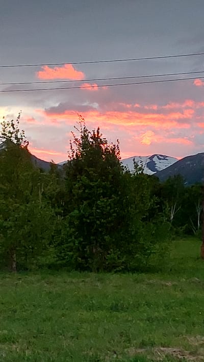 The image shows a landscape scene with a dramatic sunset. The sky is filled with vibrant orange and pink clouds, indicating it is either sunrise or sunset. In the foreground, there is a patch of lush green grass and a dense green bush or tree. In the background, a mountain range is visible, with some snow-capped peaks illuminated by the setting sun. Power lines run horizontally across the left side of the image, suggesting proximity to a populated area or infrastructure. The overall mood of the image is serene and awe-inspiring, due to the beautiful natural spectacle of the sunset over the mountains. There is no visible text in the image. The location is Lesnoi, Russia.