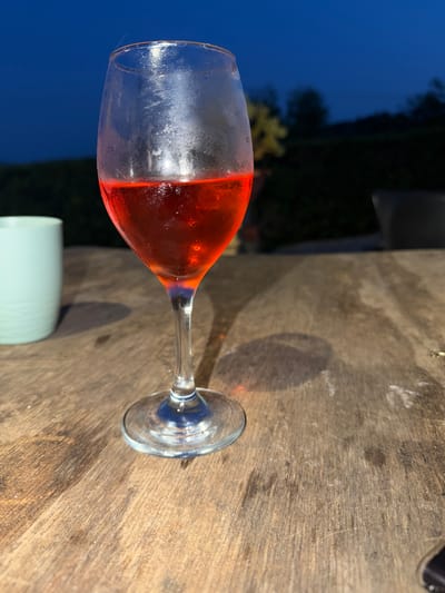 A close-up, eye-level shot features a wine glass filled with a red beverage, resting on a weathered wooden table. The glass is partially filled, with condensation visible on its exterior, and it casts a subtle shadow on the table's surface. To the left of the glass, a portion of a light blue ceramic cup is visible. The background is blurred, showing a dark green hedge and a deep blue twilight sky. There are no people or animals present in the image. The scene appears to be an outdoor setting, possibly a patio or garden, in Carpignano Salentino, Italy, given the lighting and the style of outdoor furniture implied by the wooden table.