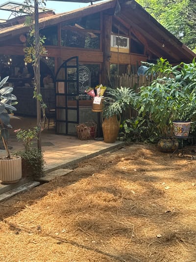 The image shows the exterior of a wooden building, likely a cafe or shop, located in Tetela Del Monte, Mexico. The building has large glass windows and a wooden frame, with lush greenery and plants surrounding the entrance. There are woven baskets and ceramic pots containing plants placed near the entrance. A sign with a logo is visible on the front of the building. The ground adjacent to the building is covered in straw or dry grass, with a concrete border separating it from the paved entrance. People are present inside the building, visible through the windows.