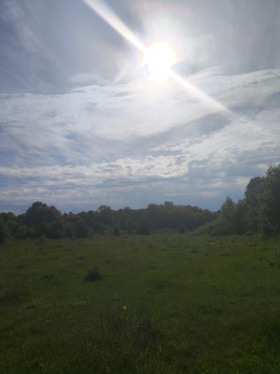 This is a landscape photograph taken outdoors in a natural setting. The scene depicts a vast, green meadow stretching towards a treeline in the middle ground. The trees are dense and dark green, suggesting foliage. Beyond the trees, the land appears to rise, creating a gentle hill. The sky dominates the upper portion of the image, filled with scattered white clouds against a pale blue backdrop. The sun is prominently visible in the upper right quadrant, shining brightly with visible rays, suggesting it is daytime. The lighting indicates a partly cloudy day. The overall atmosphere is serene and natural. There are no people or man-made objects visible in the frame. The photo conveys a sense of open space and the tranquility of nature.