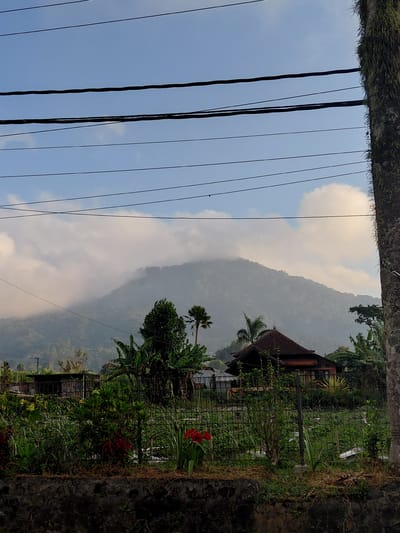 The image depicts a rural or semi-rural landscape in Sukasada, Indonesia. In the foreground, there is a stone wall topped with dry grass and soil, behind which a metal fence encloses a garden. The garden is densely planted with various green foliage, including what appear to be banana plants, and features a single bright red flower prominently on the right. Behind the garden, a traditional Indonesian-style house with a dark tiled roof and wooden elements is visible. Further in the background, a lush, mist-shrouded mountain dominates the scene, with a portion of its slopes visible through the clouds. Overhead, several black utility wires are strung across the sky, supported by a thick, moss-covered tree trunk on the right side of the frame. The sky is predominantly light blue with scattered white clouds. The overall impression is of a serene, natural setting on a slightly overcast day. There are no people visible in the image.