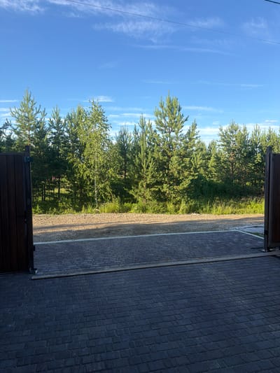 The image shows a natural outdoor scene in Kol'yutkino, Russia, on a clear day. The foreground features a dark brick-paved surface, possibly a driveway or patio, leading towards a grassy area with trees. The trees are predominantly pine trees, with some deciduous trees interspersed, their green foliage vibrant under the sunlight. The ground beside the paved area is covered in gravel and some sparse vegetation. A dark wooden structure, likely a gate or fence, is visible at the bottom edge of the frame.
In the background, the sky is a bright blue with a few wispy white clouds, indicating fair weather and likely midday. A thin, dark line, possibly a utility wire, stretches diagonally across the upper left portion of the sky. The overall mood is peaceful and serene, capturing a moment of natural beauty. There is no visible text in the image.