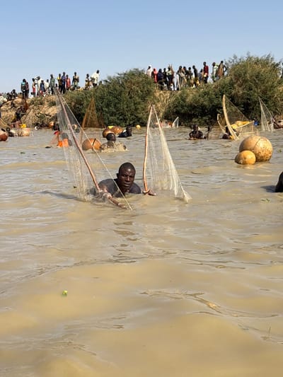 The image captures a crowded communal fishing event in Kokani North, Nigeria, under a clear daylight sky. In the foreground, a dark-skinned male, submerged chest-deep in murky, brown-green water, holds two triangular fishing nets supported by wooden poles and looks forward. In the midground, multiple individuals are partially submerged, actively using similar nets and interacting with several large, spherical, light brown buoys floating in the water. The background reveals a raised, sandy bank with sparse green vegetation, upon which a large crowd of approximately 50-100 people observe the fishing activities.