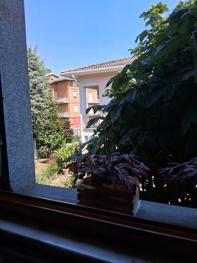 A wide-angle, slightly low-angle shot captures a sunlit outdoor scene viewed through a window. In the foreground, a wooden planter containing a plant with dark purple, segmented leaves sits on a textured grey windowsill. The windowsill extends to the left, showing a grey speckled pillar. Beyond the windowsill, a garden with various plants and trees is visible. In the middle ground, two buildings with orange and peach facades and white balconies are situated. The building on the left is taller with multiple floors, while the one on the right is partially obscured by dense green foliage. The background is dominated by a clear blue sky, suggesting a sunny day. The location is identified as Colorno, Italy.