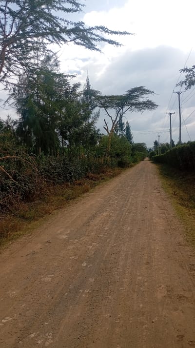 A long, sunlit dirt road stretches into the distance under a cloudy sky. Trees and bushes line both sides of the road, thicker on the left. A few telephone poles stand on the right side, with wires stretching between them. The road surface is uneven, with visible tire tracks and small stones scattered across it. The foliage is lush and green, contrasting with the brown earth of the road.