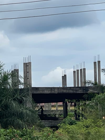 The image shows an unfinished, multi-story concrete building structure in Abraka, Nigeria. Steel rebar protrudes from the edges of the concrete slabs and beams, indicating incomplete construction. The structure is surrounded by dense green vegetation, including palm trees and bushes. Electrical power lines are visible in the background against a cloudy sky. No people are present in the image.